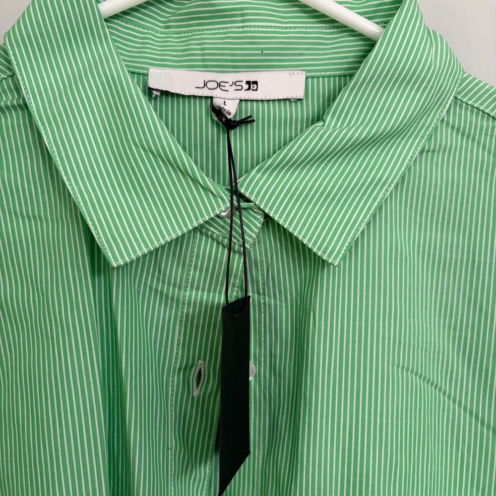 Joe's Jeans Striped Button-Up Shirt in Green and White - Picture 3 of 3